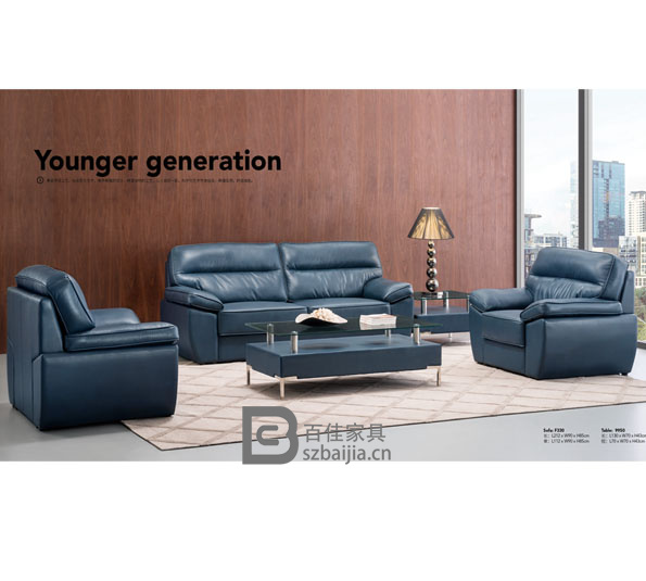 古典办公沙发-16